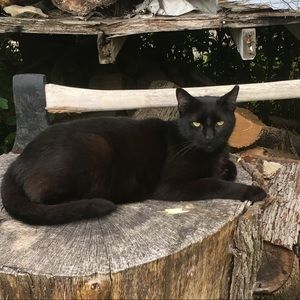 Meet your Posher, Dorie